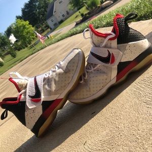 Lebron 14 used